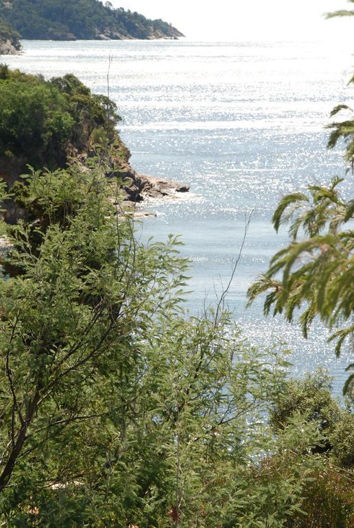 Auberge Du Cap Negre Le Lavandou Eksteriør billede